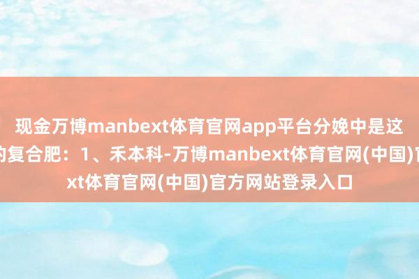现金万博manbext体育官网app平台分娩中是这么选拔不同含量的复合肥：1、禾本科-万博manbext体育官网(中国)官方网站登录入口