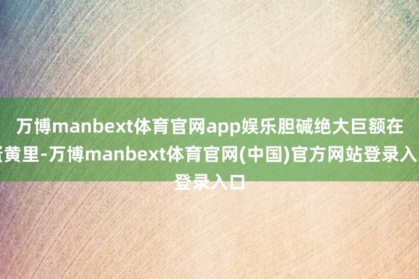 万博manbext体育官网app娱乐胆碱绝大巨额在蛋黄里-万博manbext体育官网(中国)官方网站登录入口