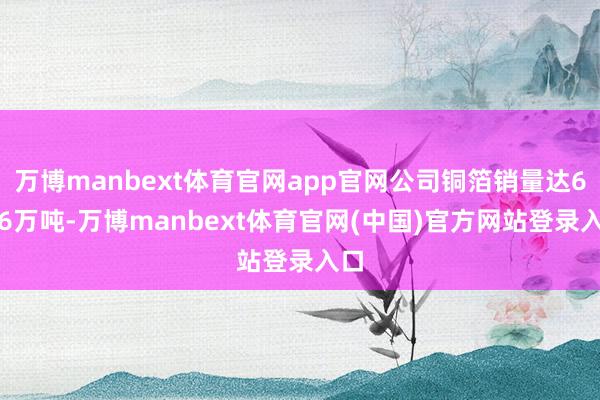 万博manbext体育官网app官网公司铜箔销量达6.76万吨-万博manbext体育官网(中国)官方网站登录入口