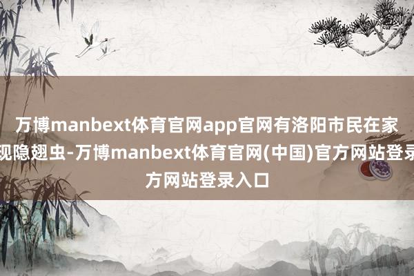 万博manbext体育官网app官网有洛阳市民在家中发现隐翅虫-万博manbext体育官网(中国)官方网站登录入口