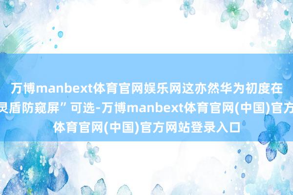 万博manbext体育官网娱乐网这亦然华为初度在手机上提供“灵盾防窥屏”可选-万博manbext体育官网(中国)官方网站登录入口
