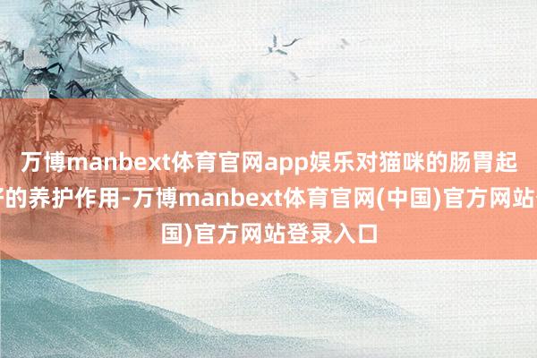 万博manbext体育官网app娱乐对猫咪的肠胃起到了很好的养护作用-万博manbext体育官网(中国)官方网站登录入口